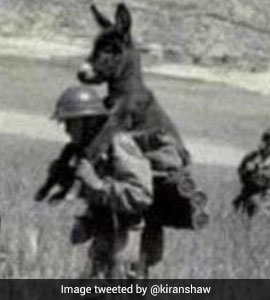 The Real Story Behind This Viral Pic Shared By Kiran Mazumdar-Shaw