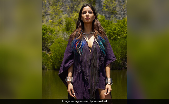 Earth Day 2021: Here's What Katrina Kaif, Sidharth Malhotra And Other Stars Posted