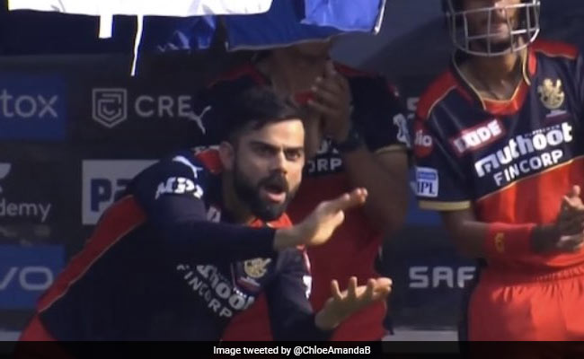 RCB vs KKR: Virat Kohli's Reaction To Glenn Maxwell's Fifty Is Now A ROFL Meme