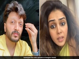 रितेश देशमुख सिर दर्द से थे परेशान, तभी पत्नी ने पूछा ऐसा सवाल कि भगवान को करने लगे याद- देखें Video रितेश देशमुख सिर दर्द से थे परेशान, तभी पत्नी ने पूछा ऐसा सवाल कि भगवान को करने लगे याद- देखें Video