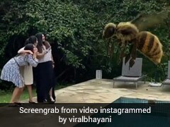 एकता कपूर दोस्तों से लड़ा रहीं थीं गप्पें, तभी हो गया विशाल मधुमक्खियों का हमला- देखें Video