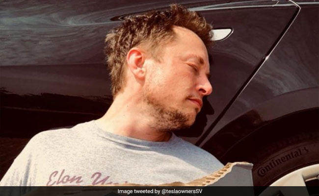 Elon Musk, Passed Out And "Bankwupt." Pic Of The Decade? You Tell Us