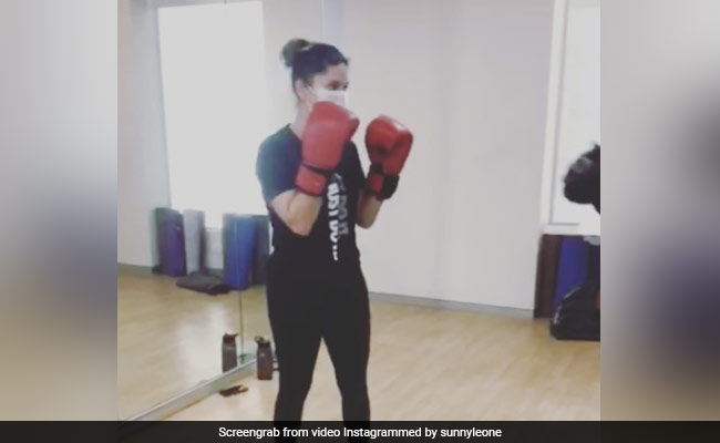 Sunny Leone बॉक्सिंग करते-करते दिखाने लगीं फाइटर्स की तकनीक, बोलीं- सिर में लगते ही...देखें Video