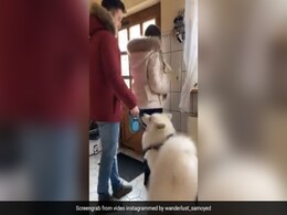 कुत्ते को घर में अकेला छोड़कर घूमने जा रहे थे घरवाले, तो पालतू जानवर ने किया कुछ ऐसा - देखें Viral Video कुत्ते को घर में अकेला छोड़कर घूमने जा रहे थे घरवाले, तो पालतू जानवर ने किया कुछ ऐसा - देखें Viral Video