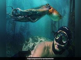 Oscars 2021: Netflix's <I>My Octopus Teacher</I> Wins Best Documentary Feature Oscars 2021: Netflix's <I>My Octopus Teacher</I> Wins Best Documentary Feature