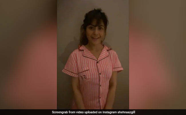 Shehnaaz Gill ने नाइट सूट में किया बड़े ही क्यूट अंदाज में डांस, फैन्स बोले- ये अब तक का बेस्ट था...देखें Video