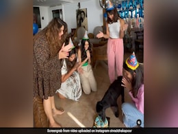 Shraddha Kapoor Had A Birthday Party For Pet Pooch Shyloh, 10. See Pics Shraddha Kapoor Had A Birthday Party For Pet Pooch Shyloh, 10. See Pics