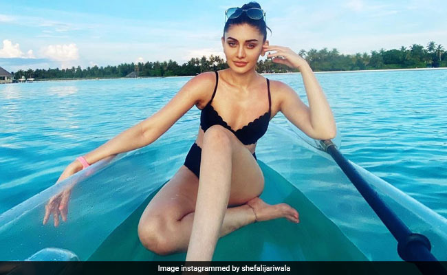 शेफाली जरीवाला को आई मालदीव वेकेशन की याद, शेयर किए थ्रोबैक Photos