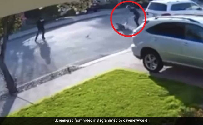 लुटेरे ने सिर पर तानी बंदूक, तो शख्स ने की मुक्कों की बरसात, चीख-चीखकर मांगने लगा जान की भीख - देखें Video