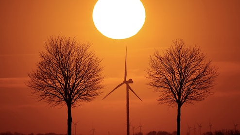 2025 Witnessed World's Third-Hottest August On Record
