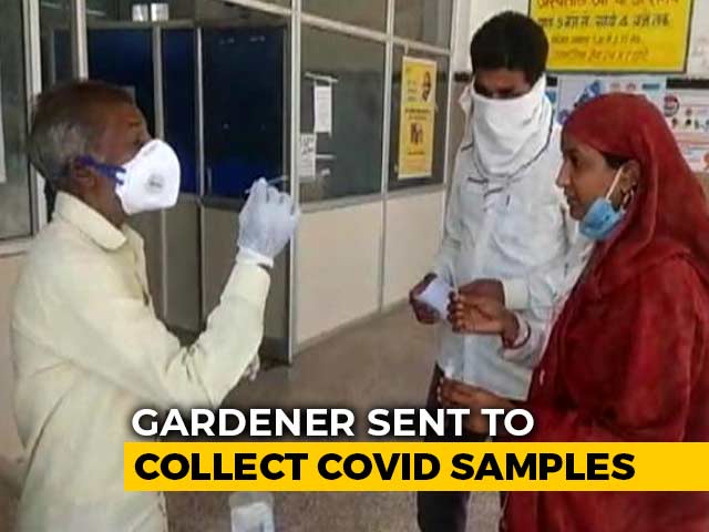 Gardener Collects Covid Sample, Madhya Pradesh Health Minister Campaigns