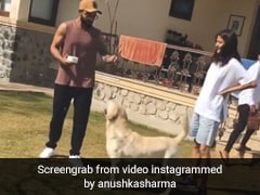 अनुष्का शर्मा और विराट कोहली ने लॉकडाउन में बनाई थी यह अपनी अलग दुनिया, अब Video हुआ वायरल