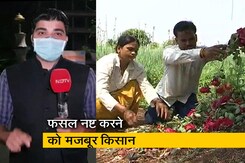 सिटी एक्सप्रेस : कोरोना की मार से बेहाल किसान, खेतों में फसल फेंकने की मजबूरी सिटी एक्सप्रेस : कोरोना की मार से बेहाल किसान, खेतों में फसल फेंकने की मजबूरी