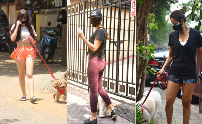 Malaika Arora, Sophie Choudhry, Giorgia Andriani Are Stylish Dog Moms On A Stroll