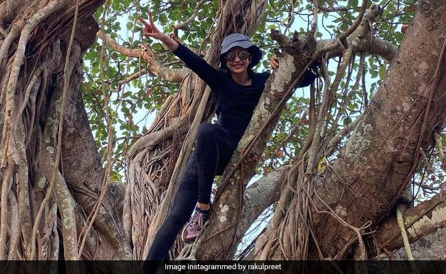 World Health Day 2021: "Not Just About Looking Lean," Writes Rakul Preet