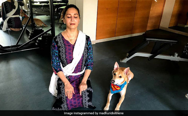 World Health Day 2021: Madhuri Dixit's Fitness Mantra Is...