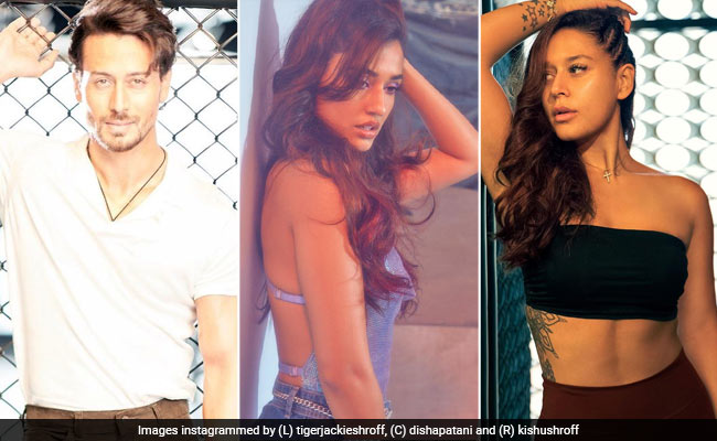 Who Is Smitten By Disha Patani's Pic? Tiger Shroff, Sister Krishna And The Internet