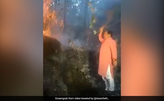 Watch: Uttarakhand Minister Fights Forest Fire With Shrub As He's Filmed