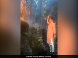 Watch: Uttarakhand Minister Fights Forest Fire With Shrub As He's Filmed Watch: Uttarakhand Minister Fights Forest Fire With Shrub As He's Filmed
