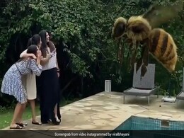 एकता कपूर दोस्तों से लड़ा रहीं थीं गप्पें, तभी हो गया विशाल मधुमक्खियों का हमला- देखें Video एकता कपूर दोस्तों से लड़ा रहीं थीं गप्पें, तभी हो गया विशाल मधुमक्खियों का हमला- देखें Video