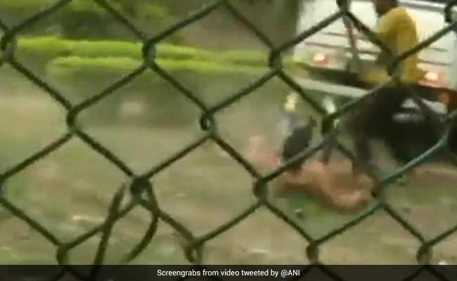 तेंदुए ने पार्क में बैठे शख्स पर अचानक कर दिया Attack, गाड़ी में बैठकर भागने लगा शख्स, फिर हुआ कुछ ऐसा - देखें Shocking Video