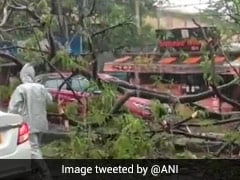 In Siliguri, Nor'wester At 120 Kilometre Per Hour Uproots Trees