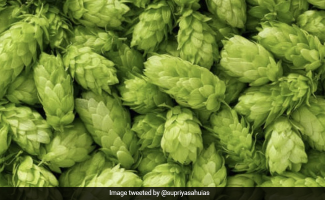 Wait, What: Bihar's Rs 1 Lakh Per Kg Vegetable Was All A Lie - Report Claims