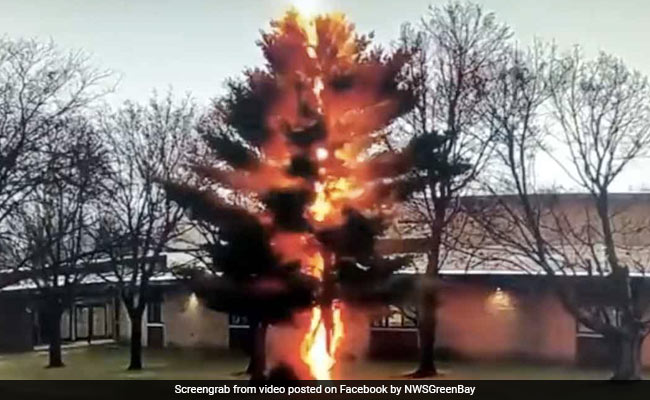 स्कूल में पढ़ाई कर रहे थे बच्चे, तभी अचानक पेड़ पर गिरी बिजली, फिर हुआ कुछ ऐसा - देखें Shocking Video