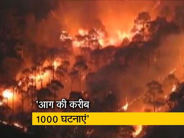 देश प्रदेश: उत्तराखंड के जंगलों में भयंकर आग, जानें क्या है वजह