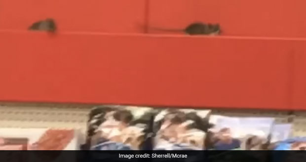 Watch: Shocking Video Of Rats Crawling On Food Shelf In A Target Store