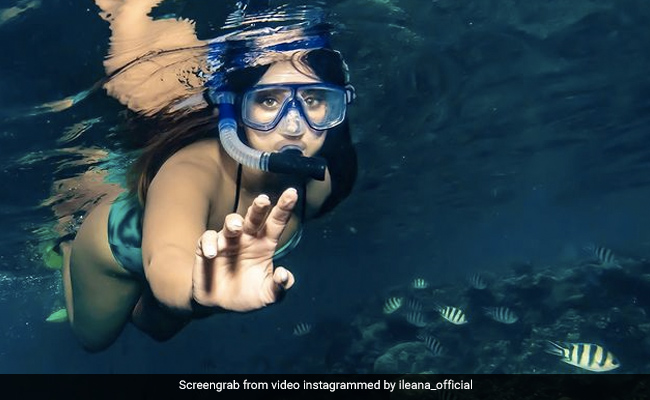 इलियाना डिक्रूज की अंडर वाटर Photos हुईं वायरल, एक्ट्रेस के अंदाज ने जीता फैन्स का दिल
