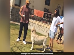 When Anushka Sharma And Virat Kohli Spent "Priceless" Paw-Some Moments Together When Anushka Sharma And Virat Kohli Spent "Priceless" Paw-Some Moments Together