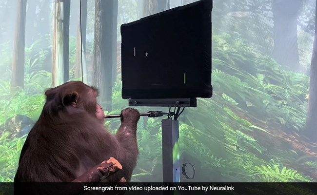Watch: Elon Musk's Neuralink Reveals Monkey Playing Video Game With Its Mind