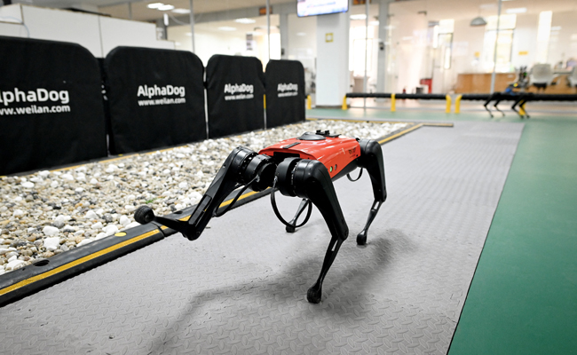 The Ulti-Mutt Pet? Chinese Tech Company Develops Robo-Dogs