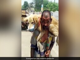 शख्स ने खुद को छोड़ कुत्ते को पहनाया मास्क, लोगों ने किए सवाल, तो बोला - खुद मर जाउंगा, इसे नहीं मरने दूंगा - देखें Video शख्स ने खुद को छोड़ कुत्ते को पहनाया मास्क, लोगों ने किए सवाल, तो बोला - खुद मर जाउंगा, इसे नहीं मरने दूंगा - देखें Video