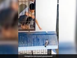 तपती गर्मी में बाहर बैठा था कबूतर, बच्चे ने बालकनी में चढ़कर यूं चम्मच से पिलाया पानी - देखें Viral Video तपती गर्मी में बाहर बैठा था कबूतर, बच्चे ने बालकनी में चढ़कर यूं चम्मच से पिलाया पानी - देखें Viral Video