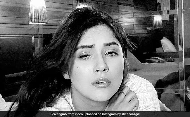 शहनाज गिल ने ब्लैक एंड व्हाइट Video में दिए किलर एक्सप्रेशन, फैन्स ने यूं दिए रिएक्शन