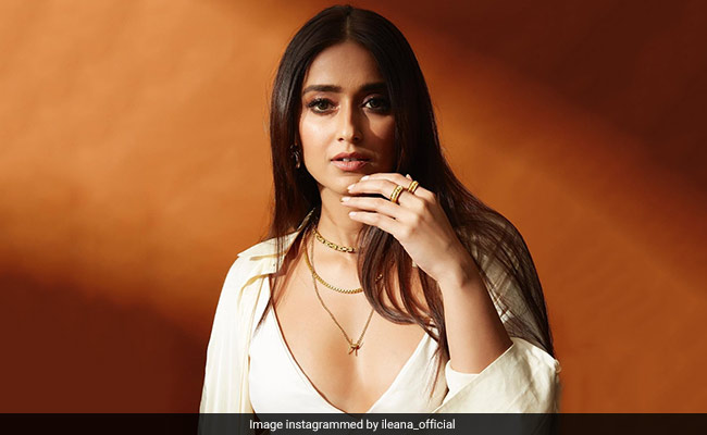Ileana D'Cruz Can Give Bakers A Run For Their Money With Her Homemade Chocolate Cake