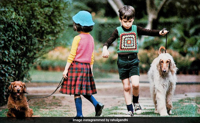 ICYMI: What Rahul Gandhi And Others Shared On Pet Day