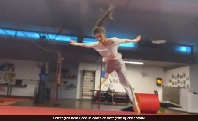 Disha Patani ने हवा में की खतरनाक बटरफ्लाई किक, फैन्स बोले- टाइगर के साथ रहने का असर..देखें Video