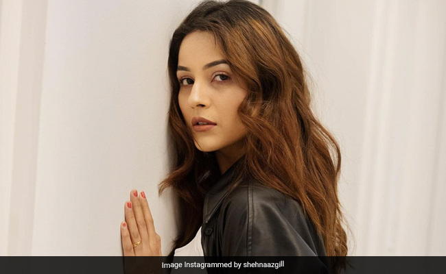 Shehnaaz Gill ने लेदर जैकेट में दिया किलर लुक, फैन्स बोले- यह तो क्राइम है...देखें Photos