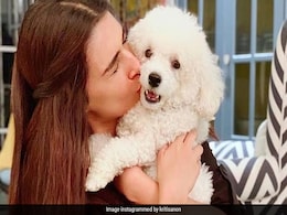 Have You Met Kriti Sanon's "Munchkin"? Dog Moms Will Relate Have You Met Kriti Sanon's "Munchkin"? Dog Moms Will Relate