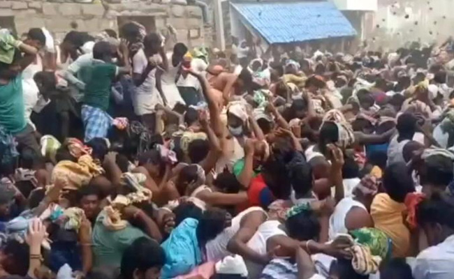 Hundreds Participate In Ugadi Cow Dung Fight In Andhra Amid Covid Surge