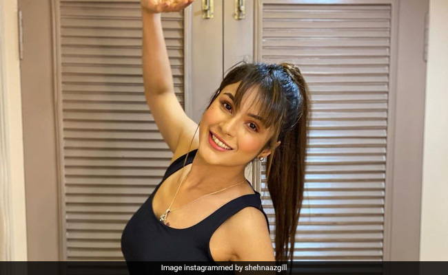 Shehnaaz Gill ने नए लुक में शेयर की तस्वीरें, तो फैन्स बोले- कैटरीना कैफ से भी सुंदर, देखें Photos