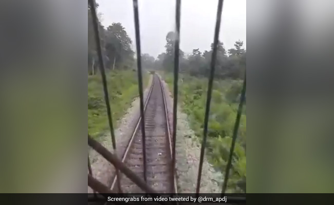 पटरी से गुजर रहे थे हाथी और उसके बच्चे, देखते ही लोको पायलट ने रोक दी ट्रेन, वीडियो ने जीता लोगों का दिल
