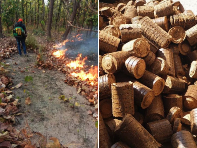 Fallen Leaves Into Briquettes: This Forest In Jharkhand Ends Forest Fires And Creates Jobs