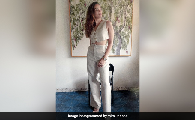 Mira Rajput's Online Shopping Spree And Summer Style Are Always On Point
