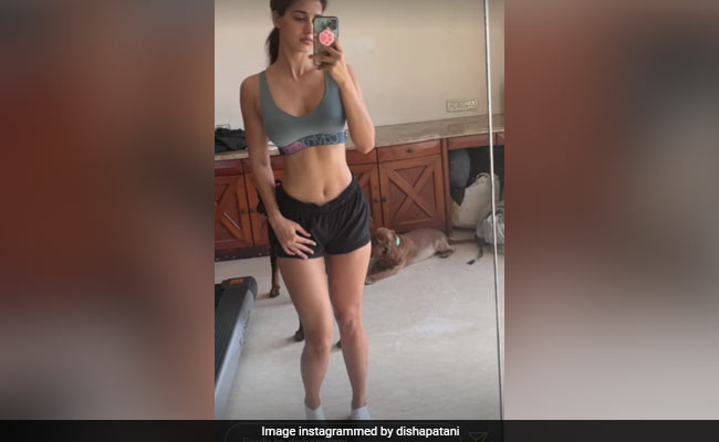 Every Day Is Ab-Tastic When You Are Disha Patani. Where's The Gym Again?