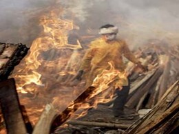 Pandemic Or Climate Change, Government Has Crucial Role To Play Pandemic Or Climate Change, Government Has Crucial Role To Play
