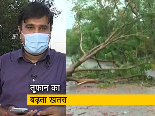 देश प्रदेश : 'यास' का असर, ओडिशा के कई इलाकों में गिरे पेड़